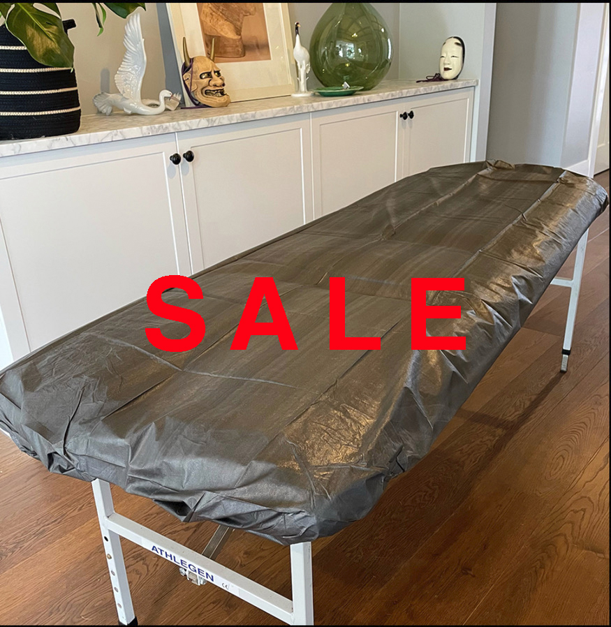 SALE - Disposable Fitted Drape Sheet